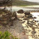 Narooma
